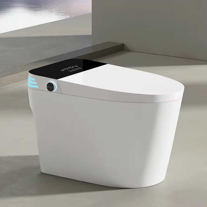 Smart Toilet
