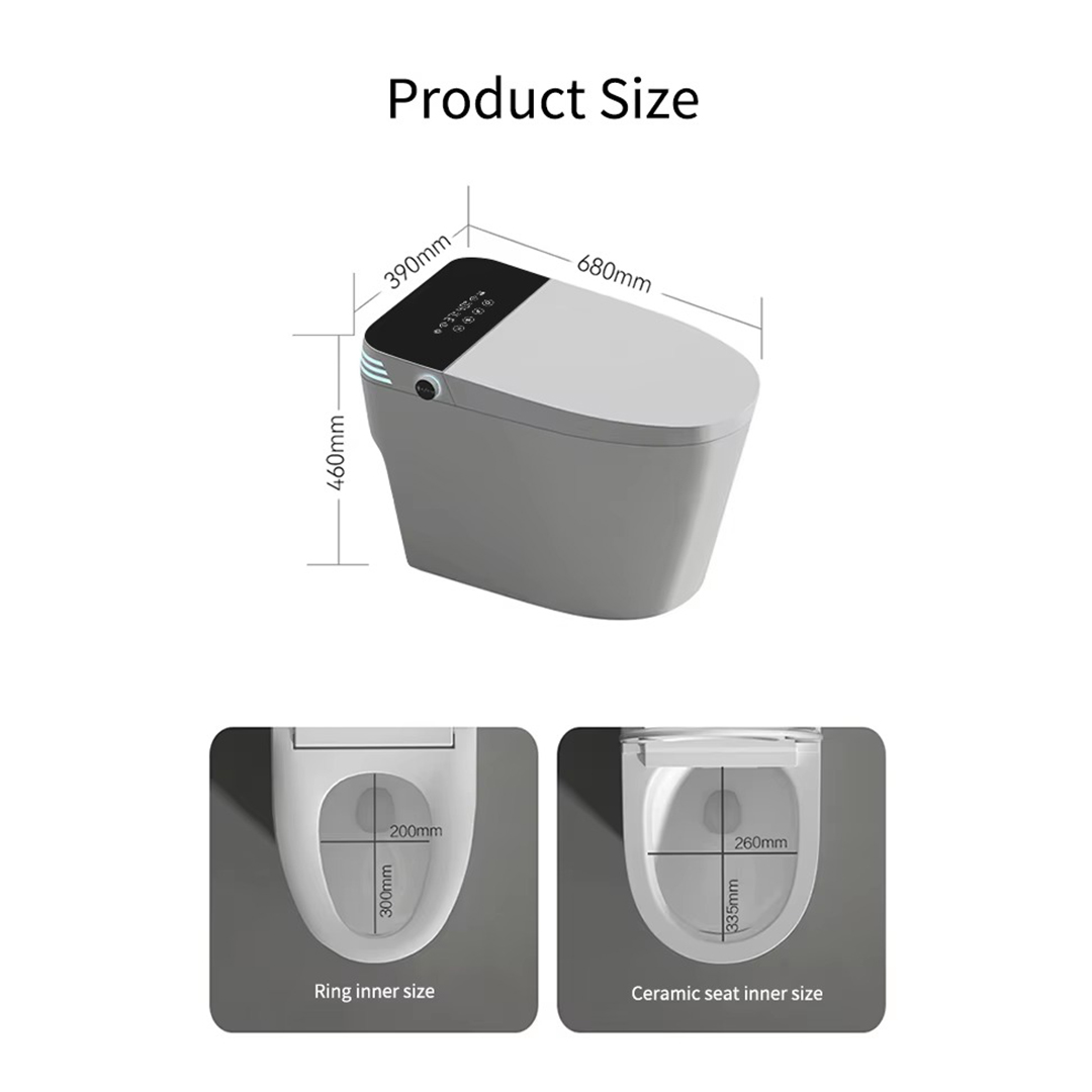 Floor Mounted Wc Intelligent Closestool Bathroom